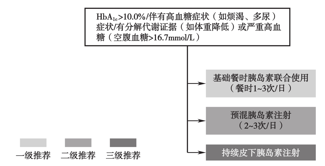 图3 老年T2DM患者短期胰岛素治疗路径图